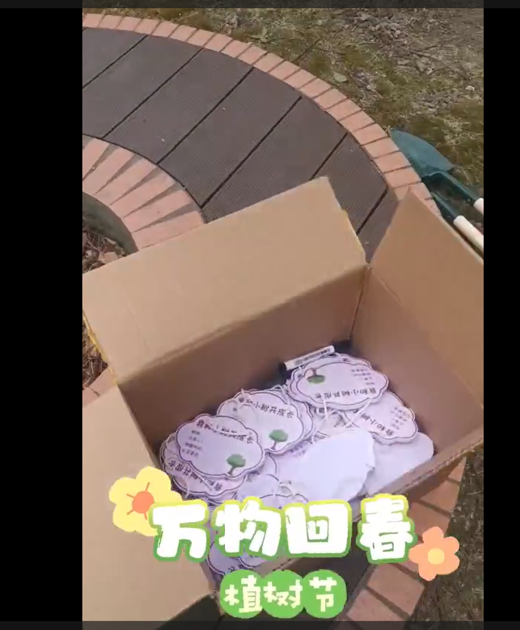 植樹節(jié)活動(dòng)