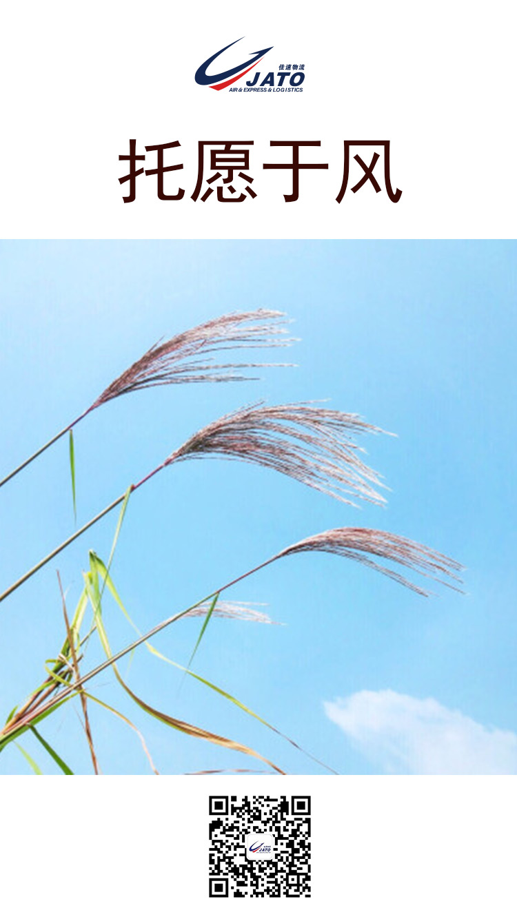 來自佳人的祝愿